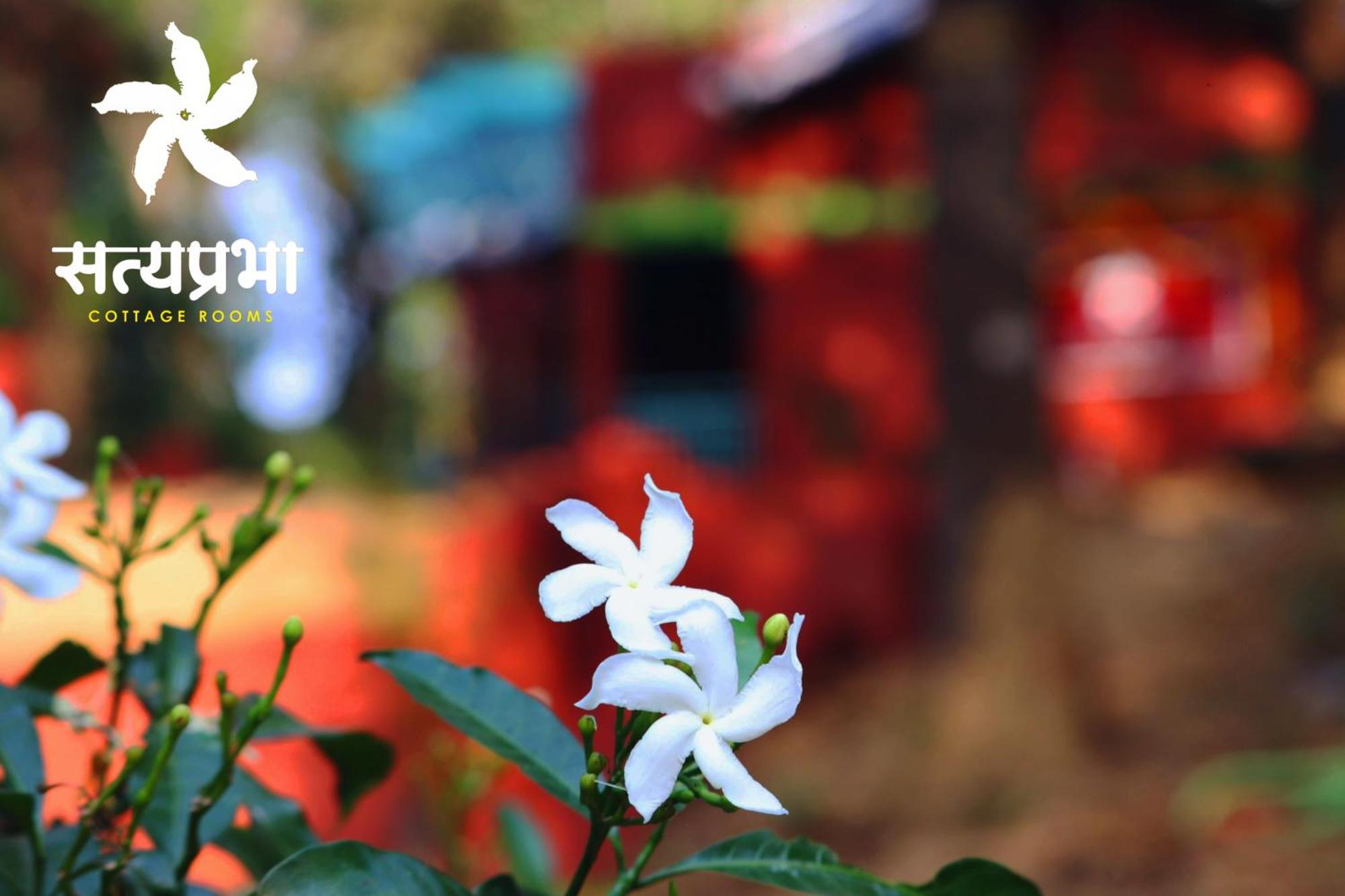 Satyaprabha Cottage Rooms Kudal  Ngoại thất bức ảnh